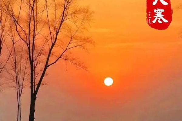 大寒祝福语简短一句话