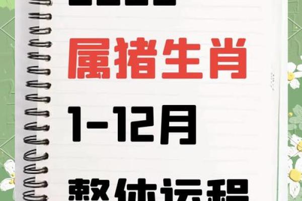 属猪的2025年佩戴什么最好_2025年属猪冲太岁戴什么 属猪的2025年佩戴什么最好_2025年属猪冲太岁戴什么