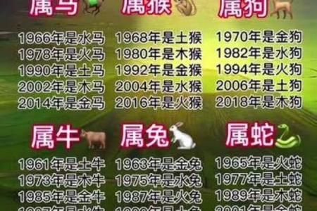 力争上游是什么生肖