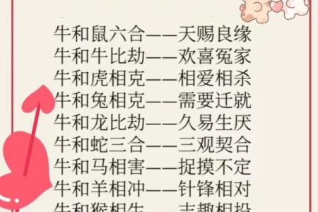 牛兔结伴是什么生肖