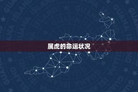 虎年生人是什么命 几月出生的属虎最好