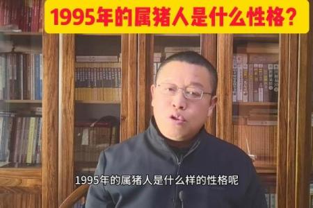 1995年属猪多少岁 95年属猪命运怎么样-在线八字网
