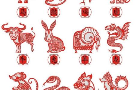 南北通商解一生肖