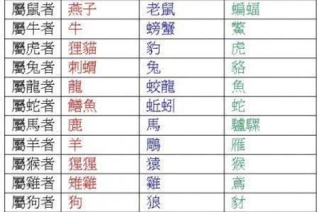 虎背熊腰指什么生肖