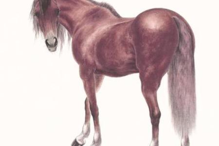 2026年属马的全年运势_2026年属马人全年运势解析事业财运健康全预测