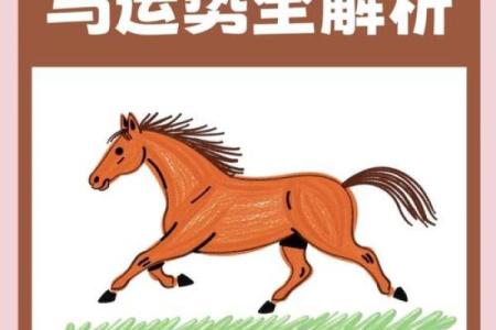 属马2025多大_属马的年龄表