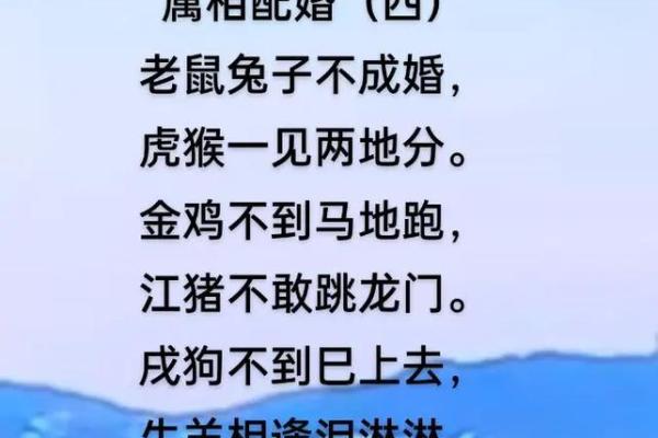 “头撞南墙”打一准确生肖,头撞南墙打一正确生肖答案解释释义落实 “头撞南墙”打一准确生肖,头撞南墙打一正确生肖答案解释释义落实