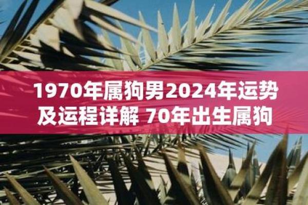 1970年属狗2025年幸运色 1970年属狗2025年幸运色揭秘助你运势飙升