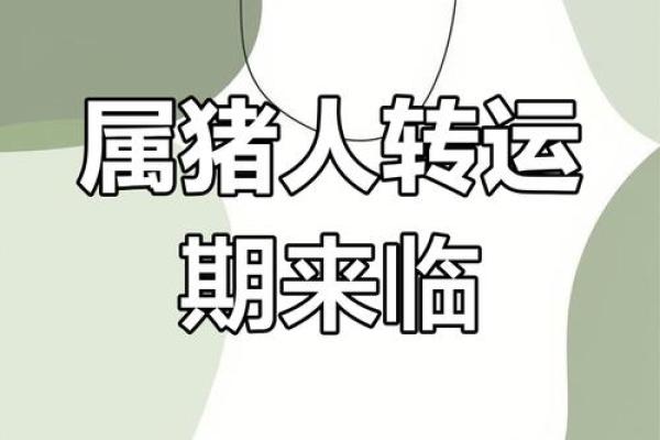 属猪的2025年的高考会怎么样 2025年属猪高考运势解析成绩与运势如何 属猪的2025年的高考会怎么样 2025年属猪高考运势解析成绩与运势如何