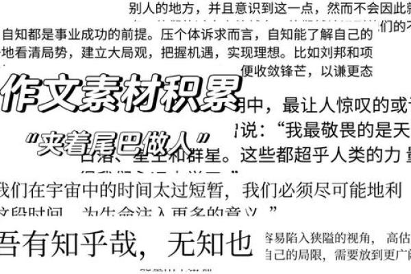 “仰屋兴叹”代表什么生肖，仰屋兴叹指什么生肖答案解释释义落实