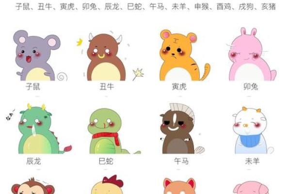 变化多端是什么生肖