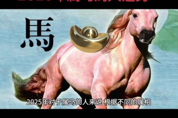属马2025年运势如何_九零年属马2025年运势如何 属马2025年运势如何_九零年属马2025年运势如何