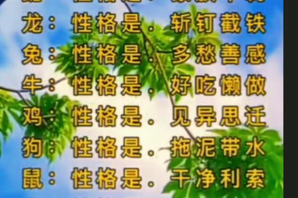 耳聪目明是什么生肖 耳聪目明是什么生肖