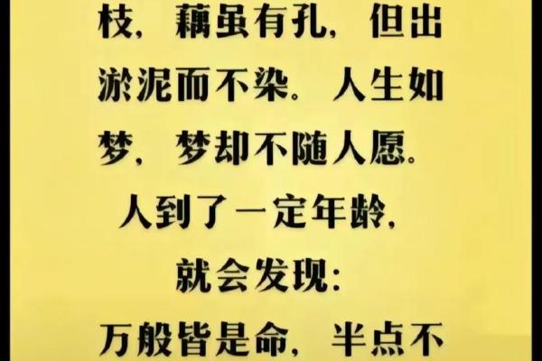 水火无情打一生肖(水火无情打一生肖)
