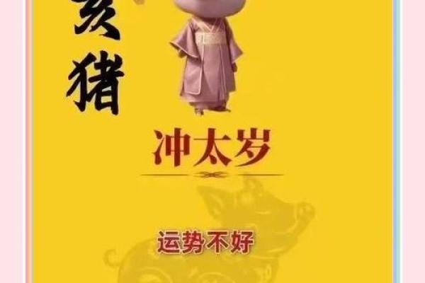 1996年2月13日属猪还是鼠 1996年2月13日出生属猪还是鼠生肖解析 1996年2月13日属猪还是鼠 1996年2月13日出生属猪还是鼠生肖解析