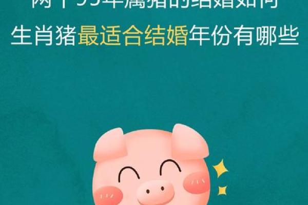 属猪和属猪的婚姻配对适合做夫妻吗