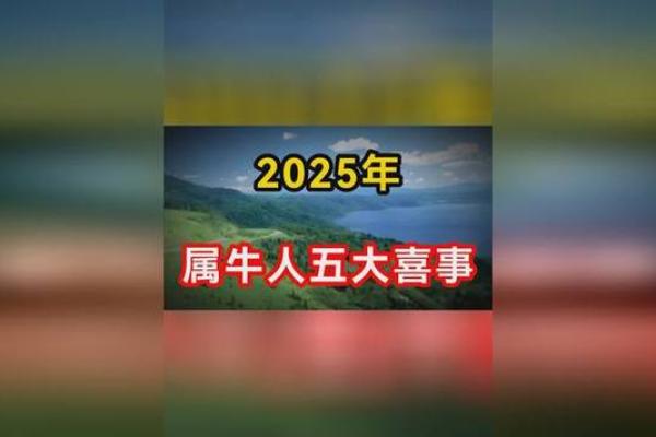 领证日子测算2025年2月属虎和属牛