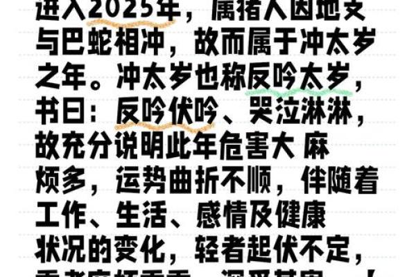 属猪的人2025年运势_2025年属猪人运势详解财运事业爱情全面解析