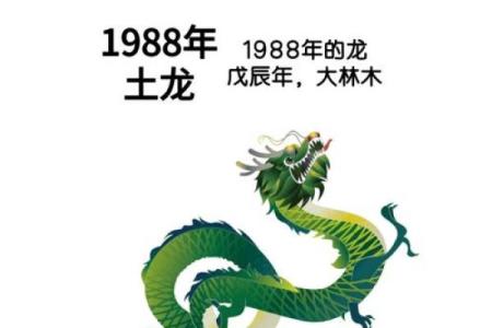 2025年属龙人全年运势详解运程月运完整指南