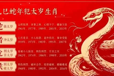 2025属龙的属于什么命 2025年属龙人的命运