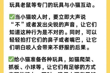 梦见被猫咬了不松口是什么意思