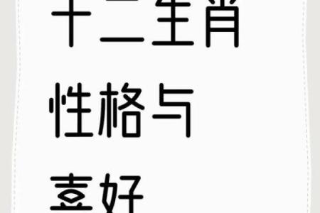 1978年11月26日属马人命理解析五行运势与性格揭秘