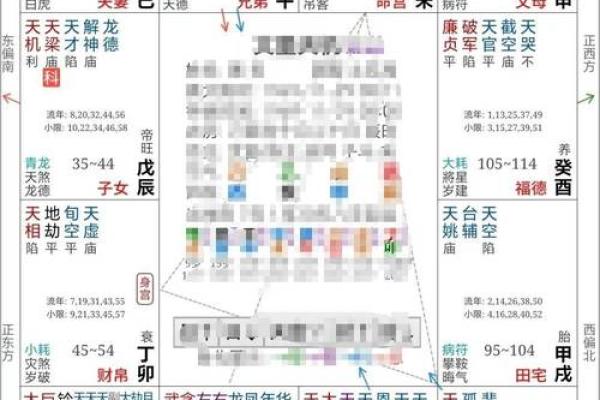 2025年4月5日子时女命紫微斗数全解盘 2025年4月5日子时女命紫微斗数全解盘