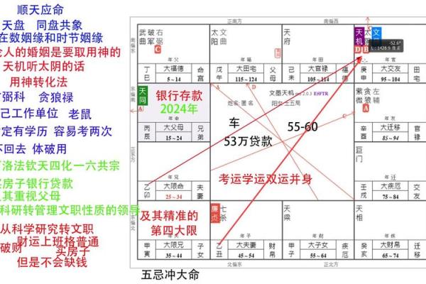 2025年4月6日巳时男命紫微斗数全解盘 2025年4月6日巳时男命紫微斗数全解盘