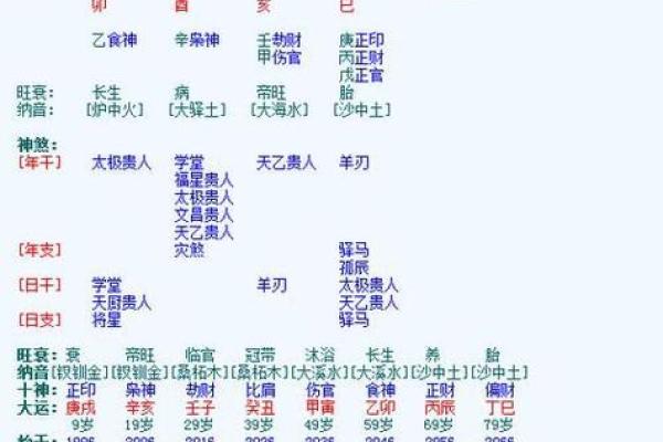 排四柱测八字排盘精准预测未来运势指南