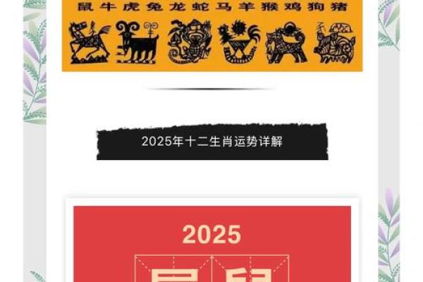 1996年属鼠人2025年运势