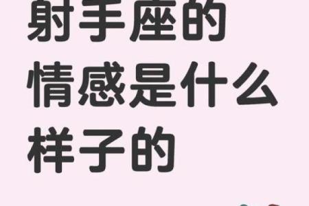 双子座女与射手座男(双子座女与射手座男配对指数)