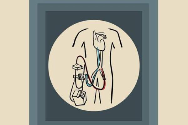 “妙手回春”打一生肖是什么，妙手回春是什么生肖答案解释释义落实