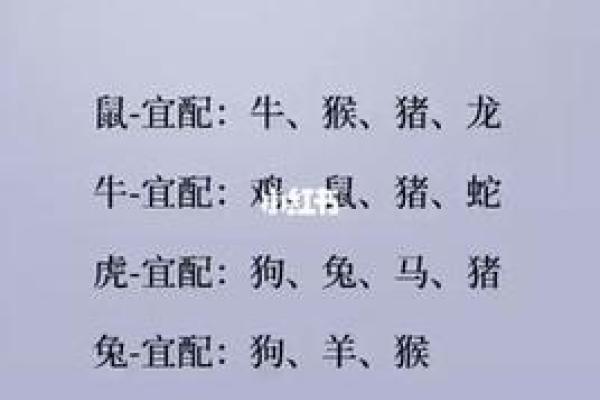 兔跟鸡属相婚配如何 兔鸡属相婚配解析缘分天定还是性格不合 兔跟鸡属相婚配如何 兔鸡属相婚配解析缘分天定还是性格不合