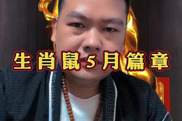 84鼠2025年运势及运程 84鼠2025年运势及运程