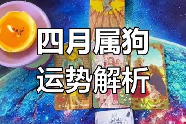 属狗的2024年运势和财运怎么样_属狗的明年运势和财运怎么样