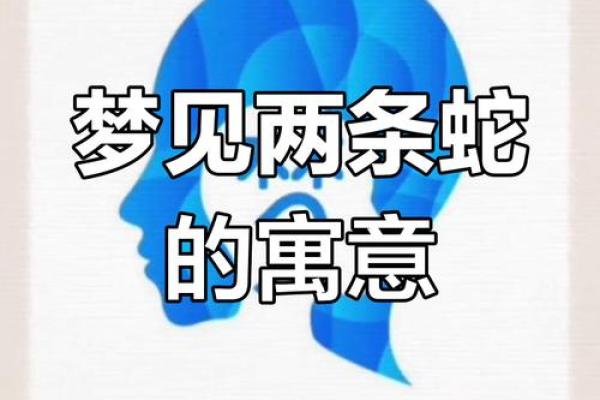 梦见很大的蛇 梦见很大的蛇