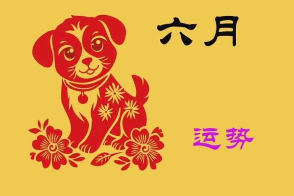 1982年属狗2025年每月运势完整版 1982年属狗2025年每月运势详解及运势预测 1982年属狗2025年每月运势完整版 1982年属狗2025年每月运势详解及运势预测