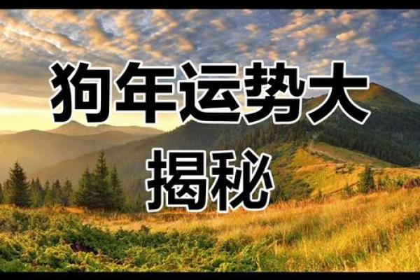 1982年属狗2025年全年运程解析事业财运与感情运势全揭秘 1982年属狗2025年全年运程解析事业财运与感情运势全揭秘