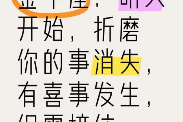 金牛座明天的运气