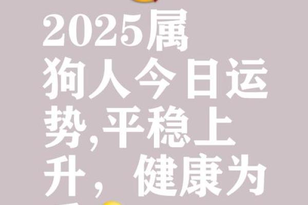 1982年属狗男2025年运势详解事业财运与感情运程预测