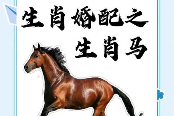 马首是瞻是什么生肖(马首是瞻打一正确生肖)