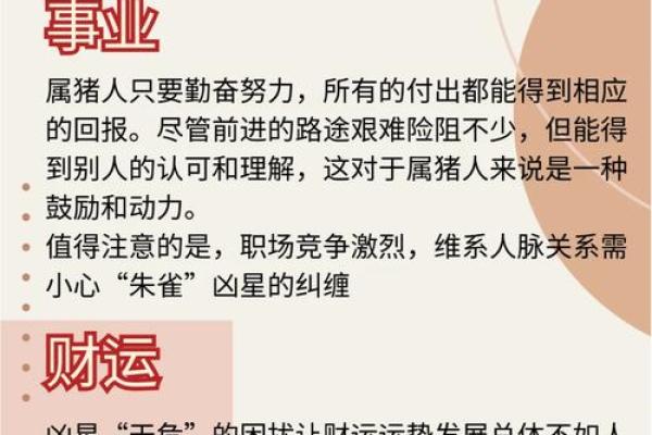 83年属猪男2025年运势_2025年属猪男运势解析83年出生者运程全揭秘