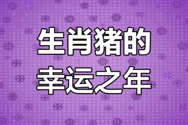2007年属猪2025年运势 95年属猪人2025年运势 2007年属猪2025年运势 95年属猪人2025年运势