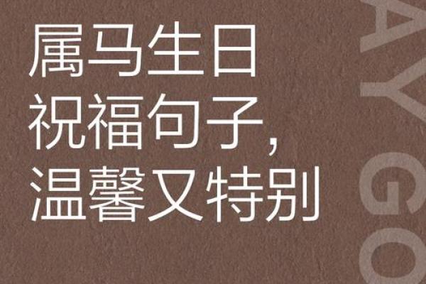 02年属马今年多大 02年属马今年多大2023年龄计算与生肖运势解析 02年属马今年多大 02年属马今年多大2023年龄计算与生肖运势解析