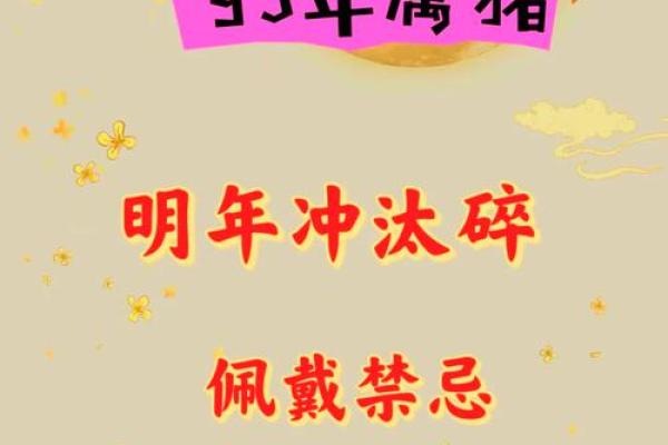 2007属猪男孩2025考试运势_07年猪25年高考顺利吗 2007属猪男孩2025考试运势_07年猪25年高考顺利吗