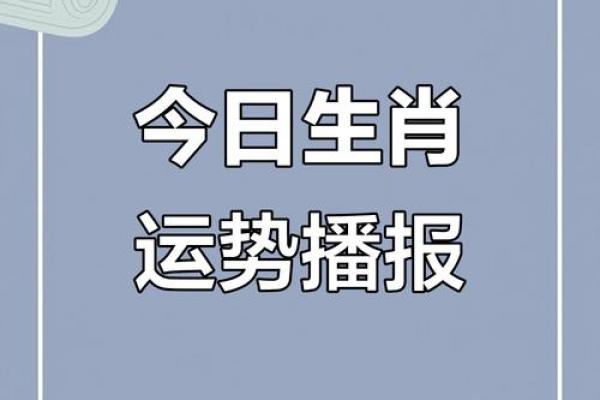 2025年4月28日生肖运势分析