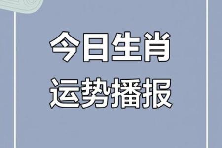 2025年4月28日生肖运势分析