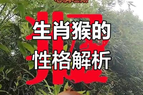 行侠仗义是什么生肖(行侠仗义是什么动物) 行侠仗义是什么生肖(行侠仗义是什么动物)