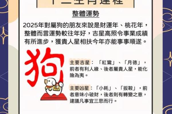 2025年4月13日生肖运势详解