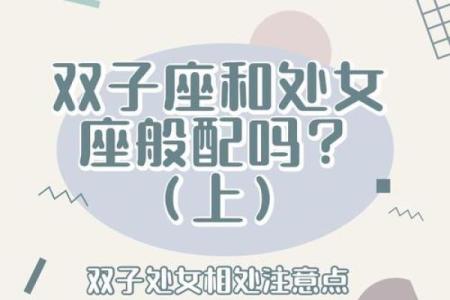 双子座女与处女座男的匹配程度(双子座女和处女男座配吗)